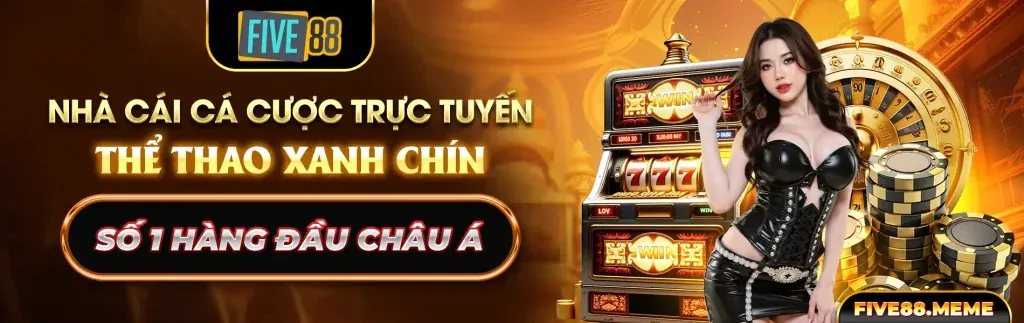 Cookie và công nghệ theo dõi được sử dụng tại Go888 Code